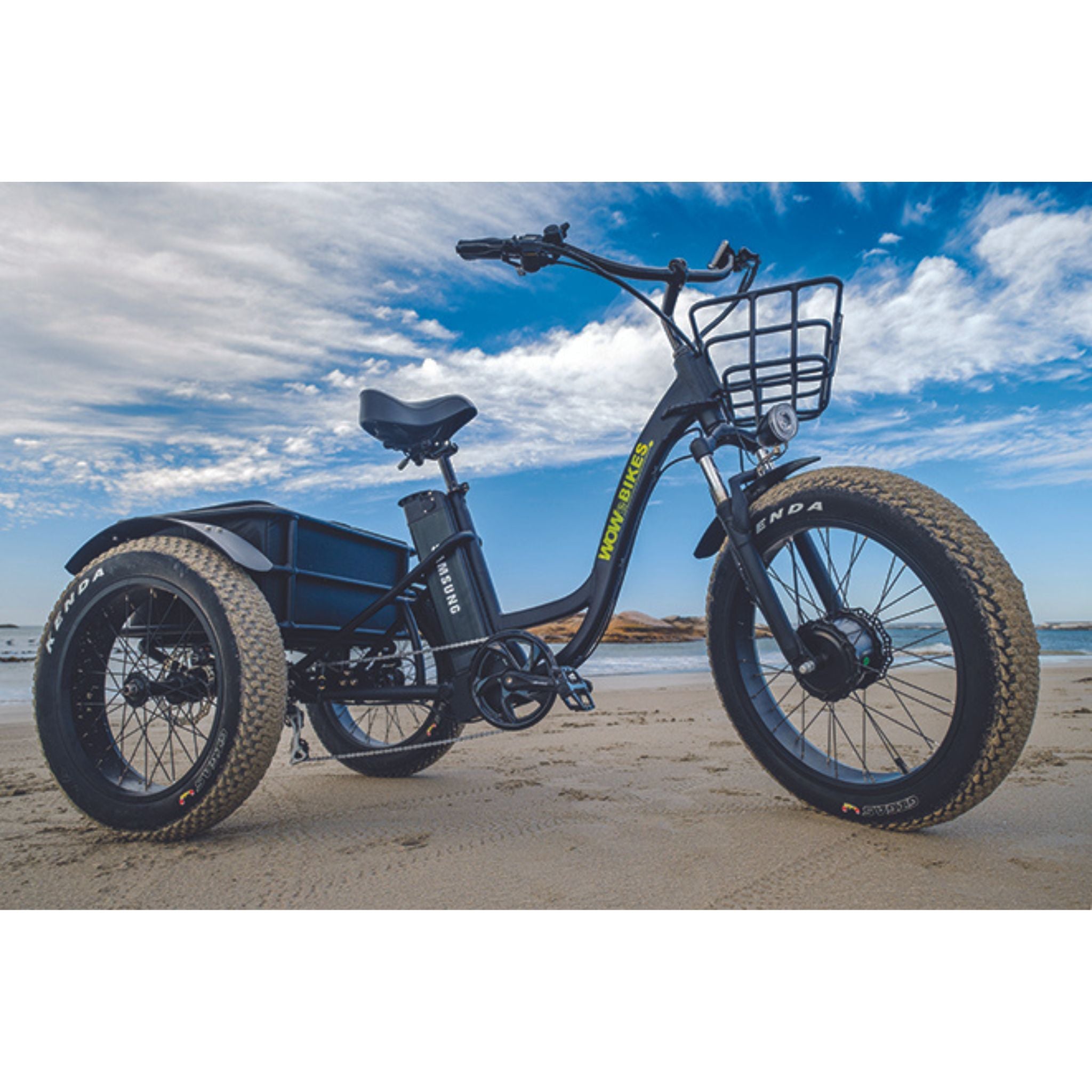 Three wheel bicycle on sale with motor