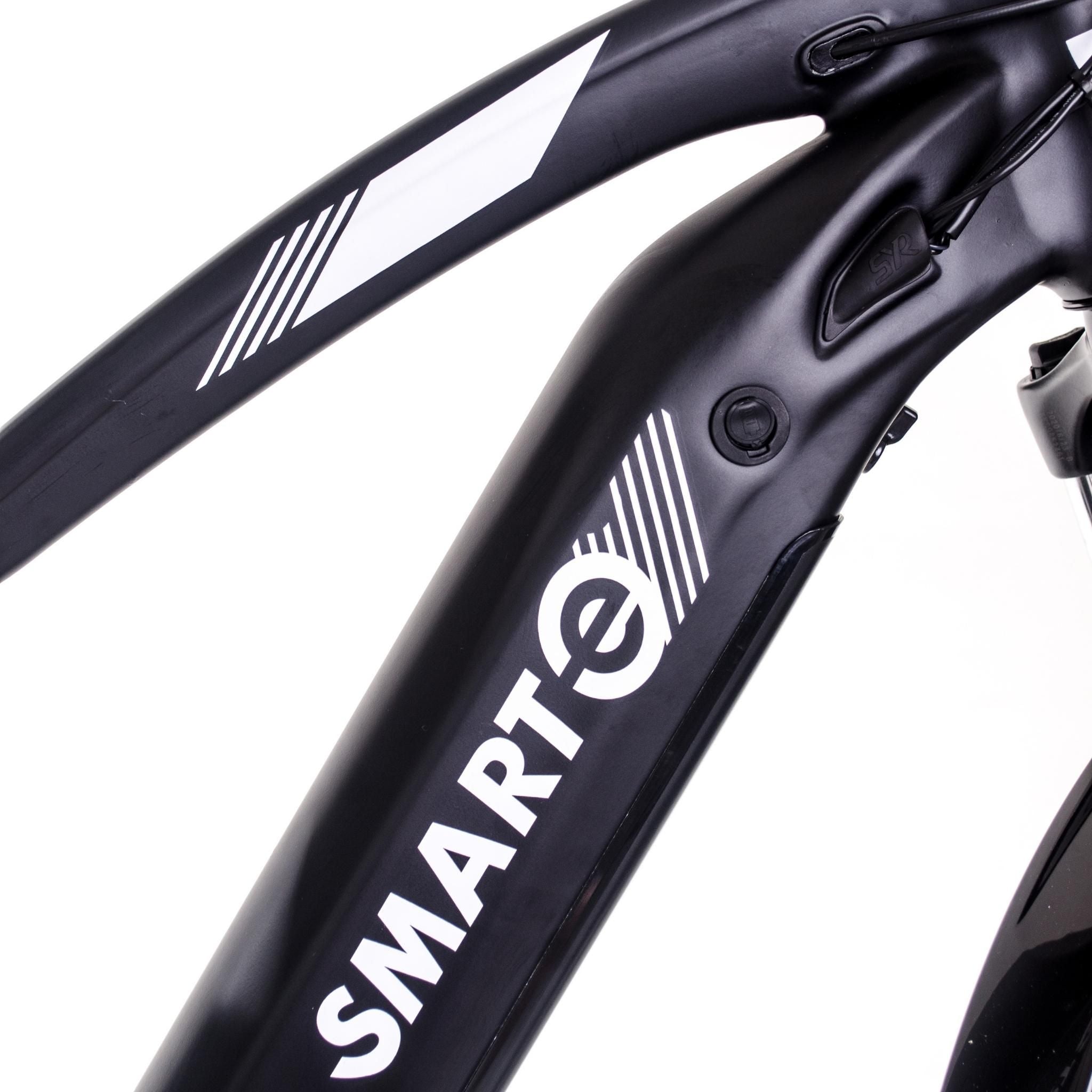 Smart ebike sales 2019